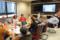 Planejamento para 2019 é apresentado na reunião do CEDI - Foto: Divulgação/Sejuf